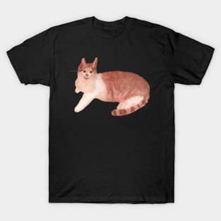 Ginger Tabby Cat T-Shirt